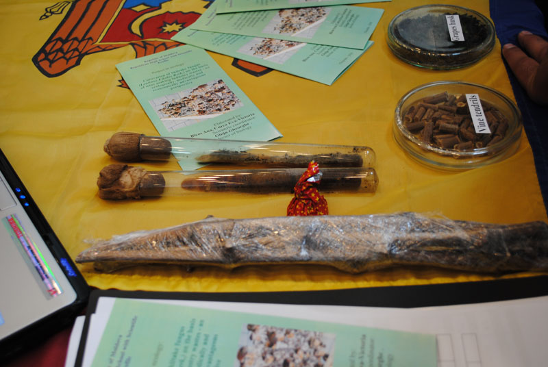 INESPO 2010 (1013)