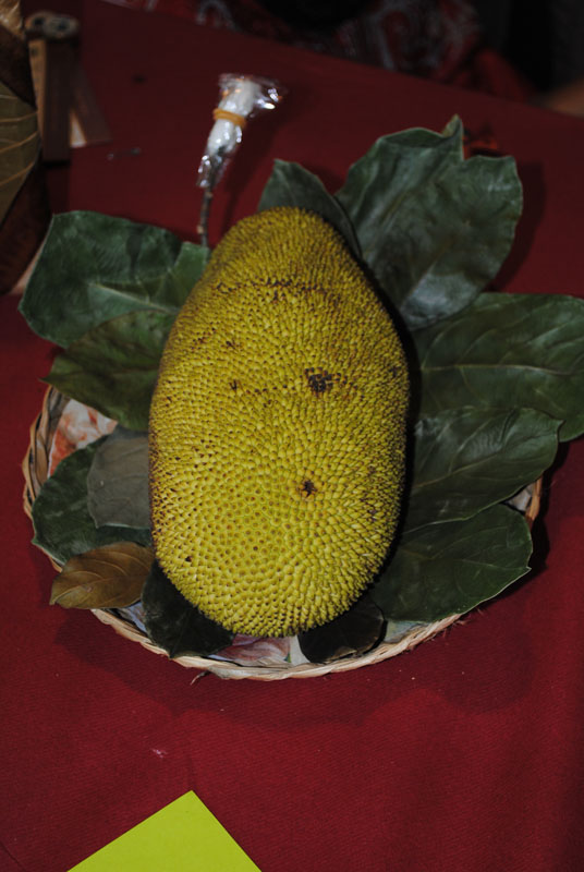 INESPO 2010 (1085)