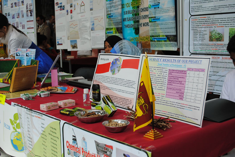 INESPO 2010 (217)
