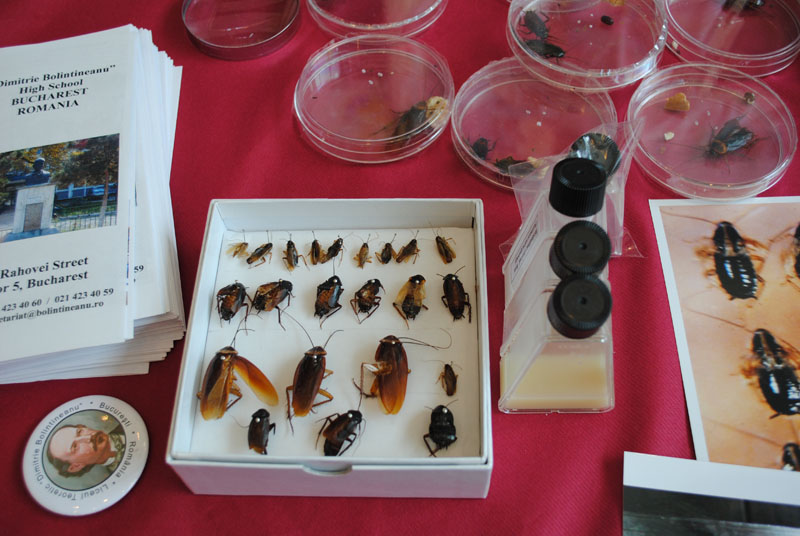INESPO 2010 (292)